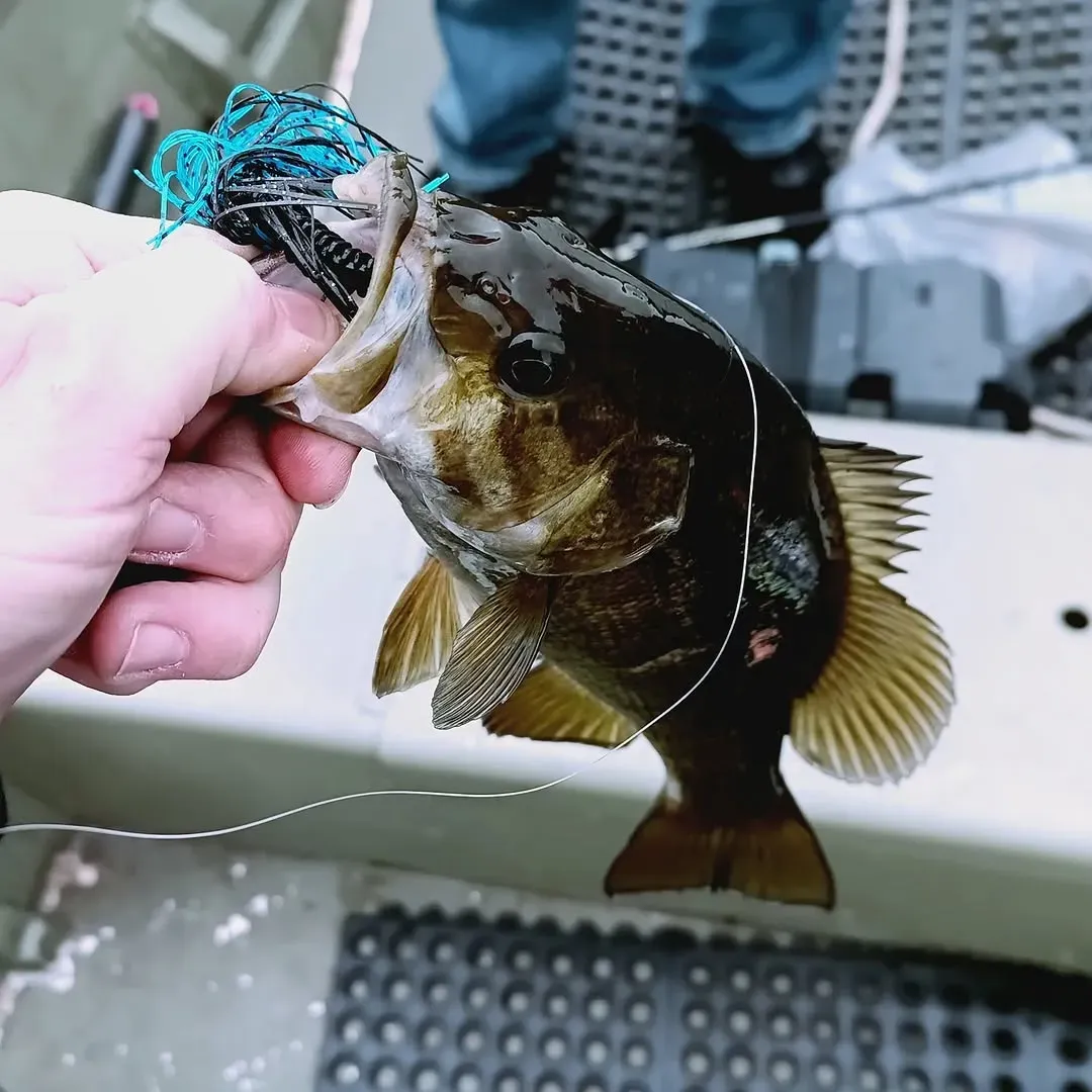 Ice Fishing in Nova Scotia