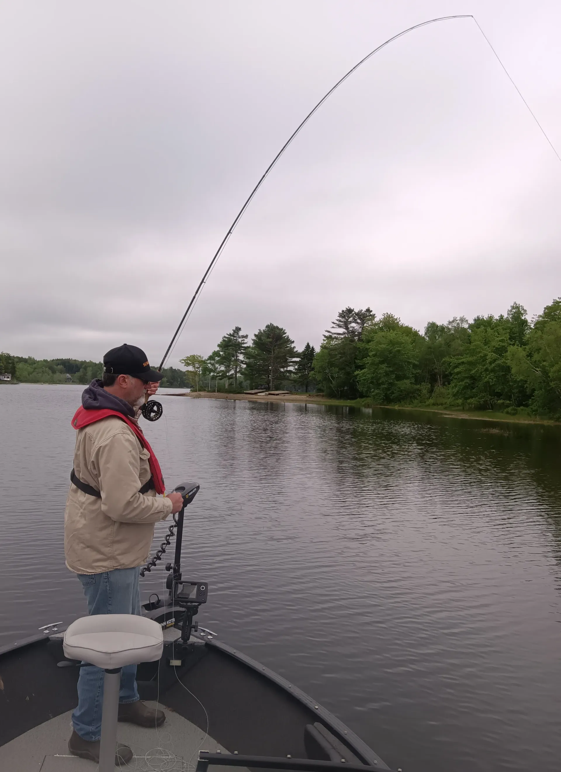 Bay of Fundy Striped Bass Migration Explained